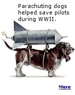 As part of testing to help save pilots from dying, dogs were tossed from planes at high altitudes to test parachutes.
